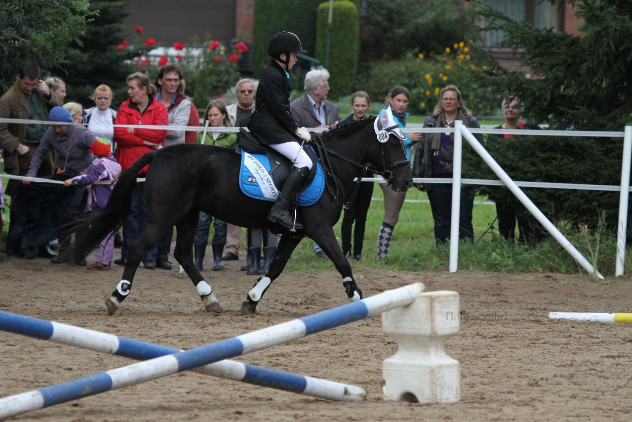 Bild 1272 - WBO-Turnier am 18.9.11